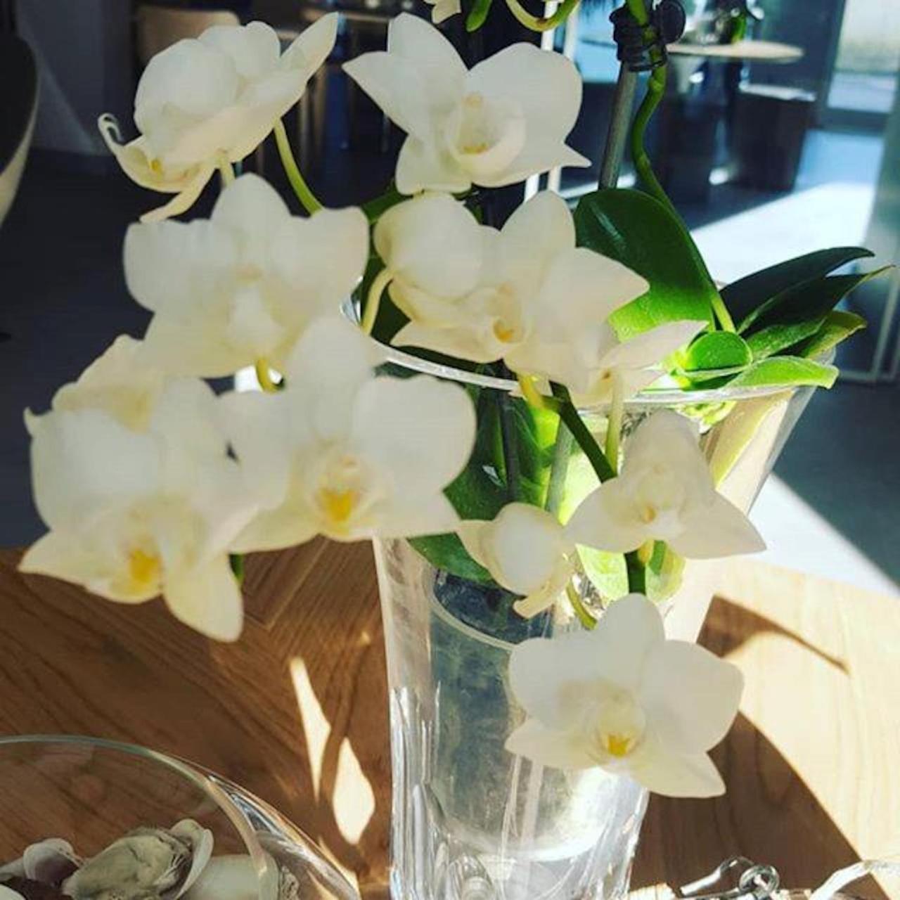 פיאטרה סנטה Hotel Villa Barsanti מראה חיצוני תמונה